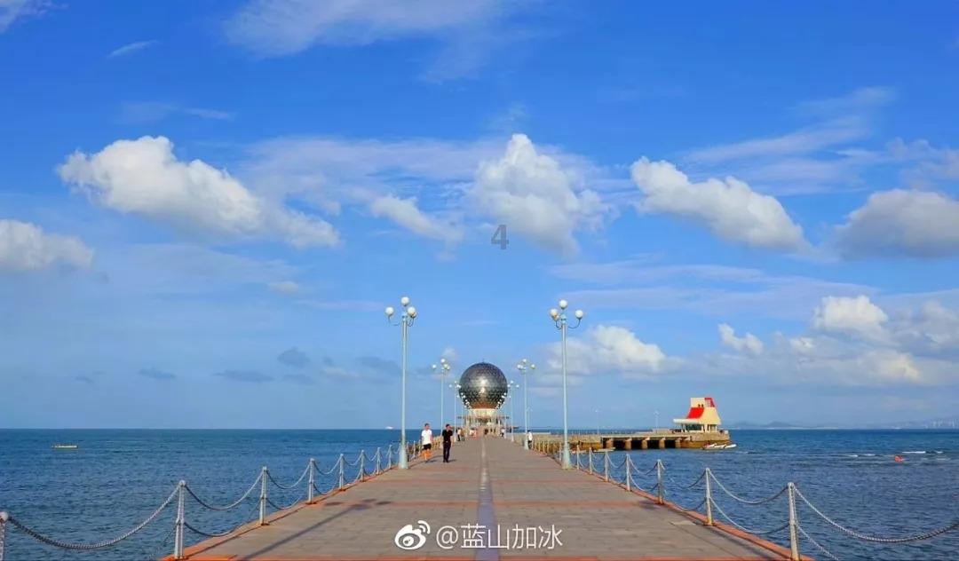 了解哪些动物和植物被称为活化石?,探索知识星球平台的世界